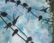Birds On A Wire 7
