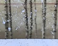 Snow Carpet