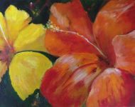 Blooms
