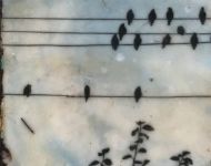 Birds On A Wire 5
