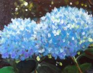 Hydrangeas 3