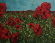 Poppy Fields 2