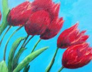 Spring Tulips