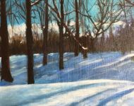 Snow In The Arboretum