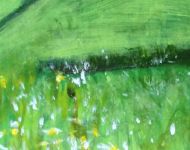 Homeland Meadow
