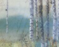 Natural Beauty - 10 x 10
