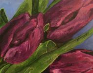 Spring Tulips 2
